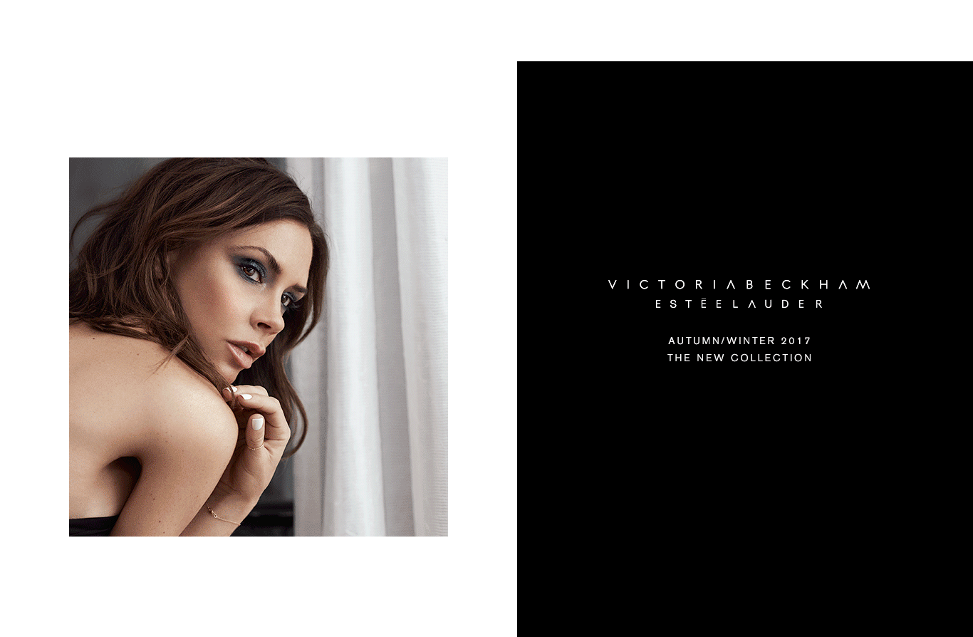 Shop Now Shop Now