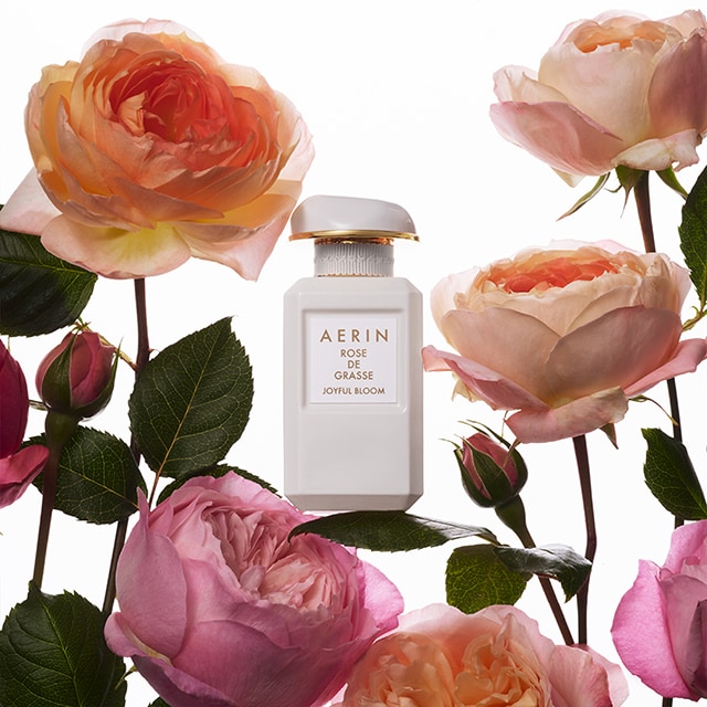 AERIN Rose de Grasse Joyful Bloom