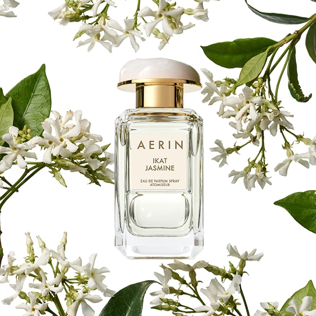 AERIN Ikat Jasmine