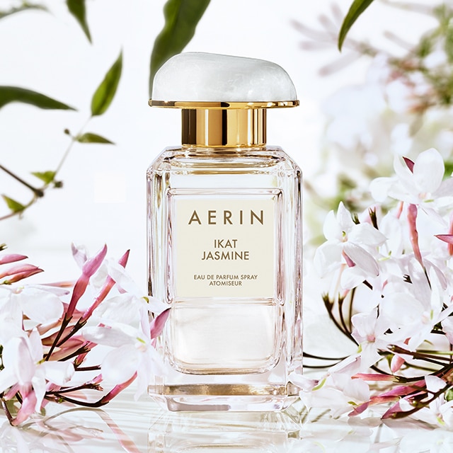 AERIN Ikat Jasmine