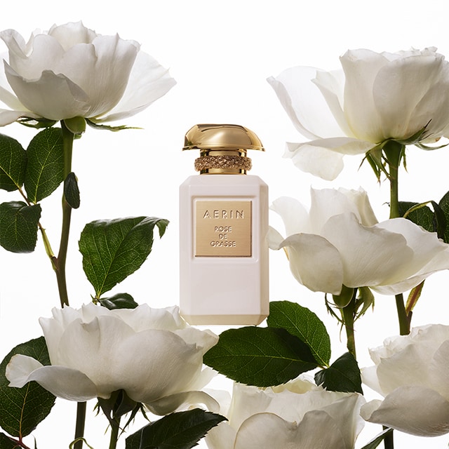 AERIN Rose de Grasse