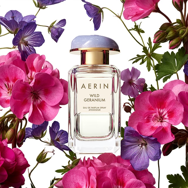 AERIN Wild Geranium