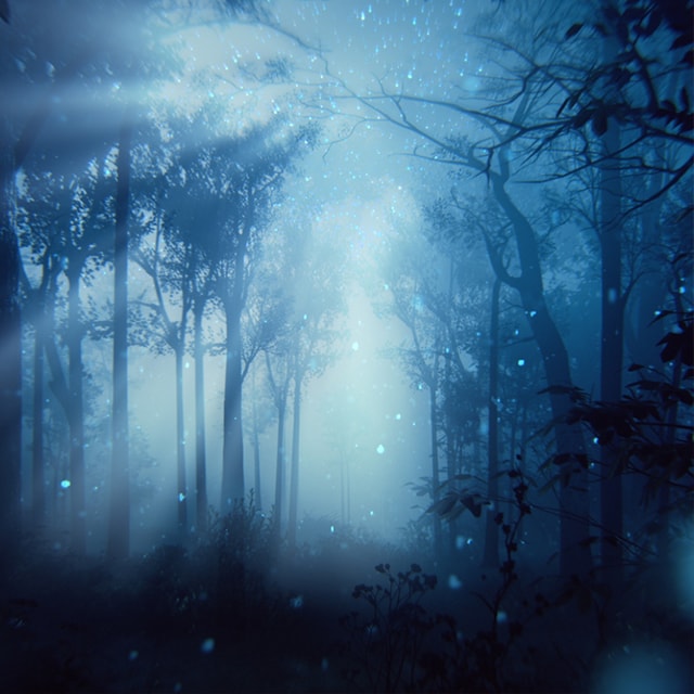 Paradise Moon