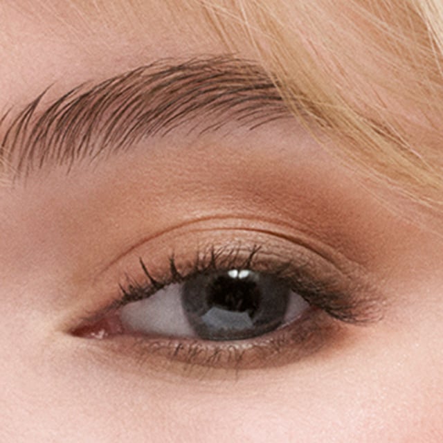 The Essential Eyeshadow Quad
