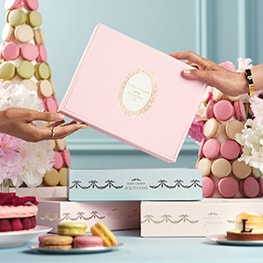 photo of estee lauder x laduree collection