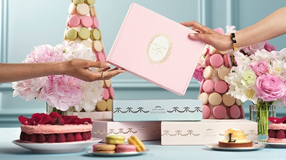 photo of estee lauder x laduree collection