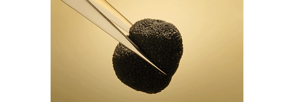 black diamond truffle extract estee lauder