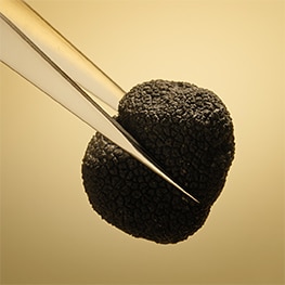 photo of superfoods for skin in estee lauder skincare and makeup products