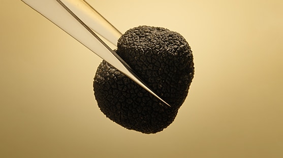photo of superfoods for skin in estee lauder skincare and makeup products