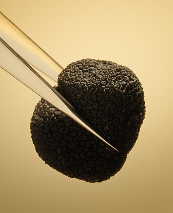 photo of superfoods for skin in estee lauder skincare and makeup products